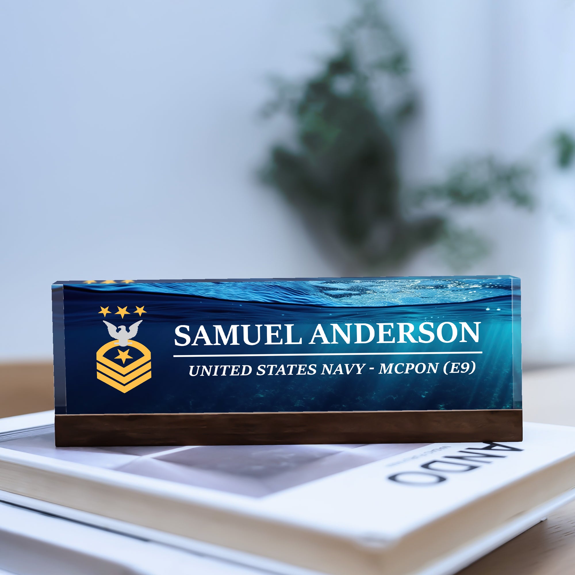 US Navy Acrylic Plaque – Personalized Name & Year Gift